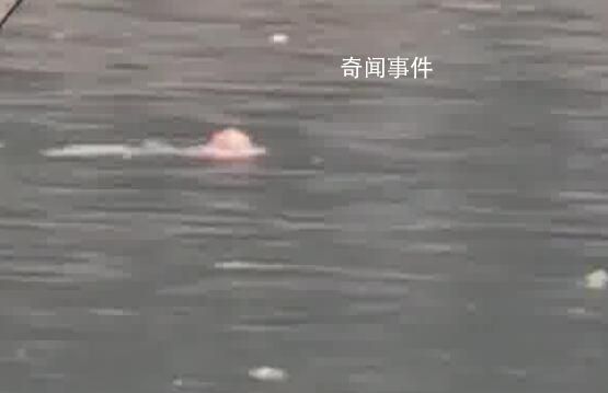 男子跳河輕生后悔漂浮河面等救援 幸得消防及時救起