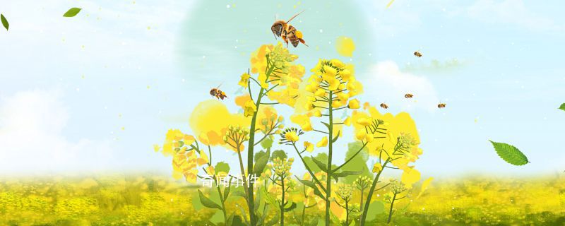 云貴高原看油菜花什么月份好 描寫油菜花的經(jīng)典句子有哪些