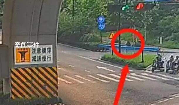 男子杭州綠化帶迷路3天 吃野花求生