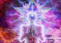 科學揭秘通靈現象未解之謎 比較常見的動物通靈現象有哪些