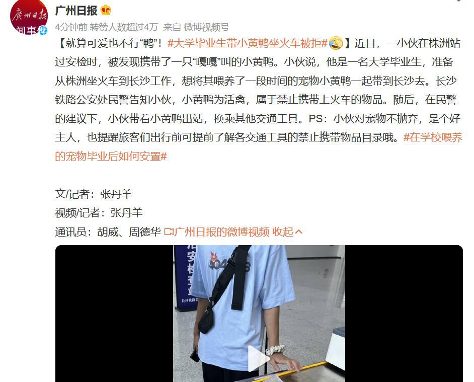 大學畢業(yè)生帶小黃鴨坐火車被拒 小伙對寵物不拋棄是個好主人