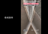 錢塘江魚鱗潮仿佛萬(wàn)馬奔騰 氣勢(shì)磅礴