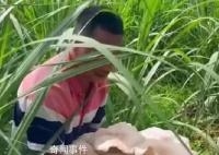 男子外出干活遇超大菌子 網(wǎng)友：羨慕云南人