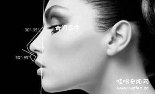 詳解相學(xué)最有福氣的7種鼻子 教你分辨哪種鼻子最有財(cái)運(yùn)或長(zhǎng)壽