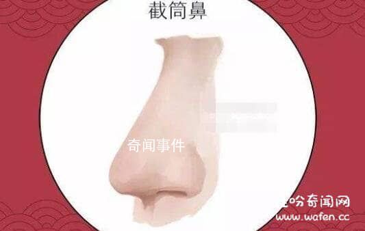 詳解相學(xué)最有福氣的7種鼻子 教你分辨哪種鼻子最有財(cái)運(yùn)或長(zhǎng)壽