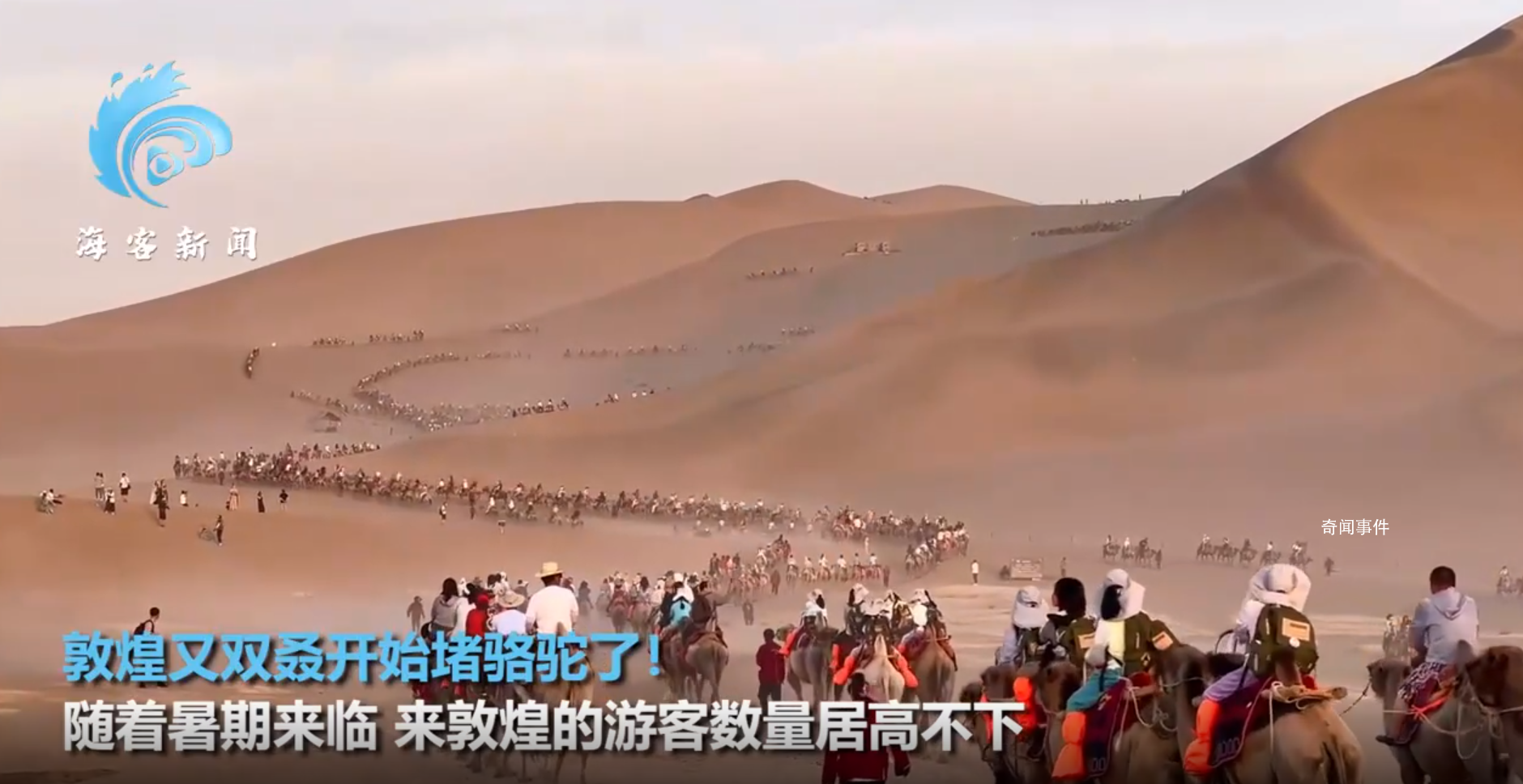 敦煌又雙叒叕堵駱駝了!隊伍一眼望不到邊