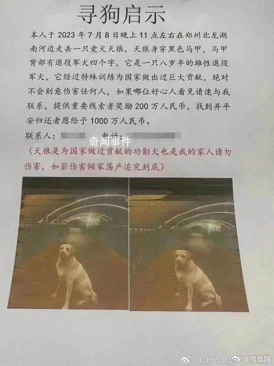 鄭州狗主懸賞1000萬人民幣尋狗 引發熱議