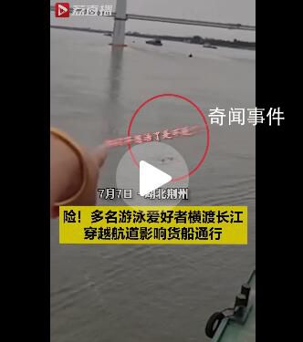 多人游泳橫渡長江船員大吼避讓 你們不要命了