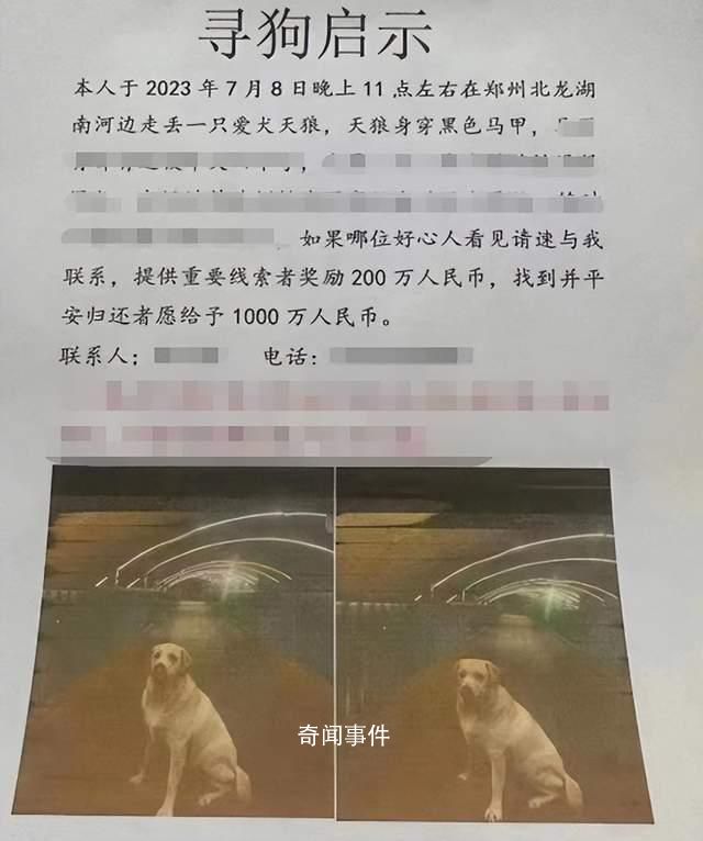 男子懸賞千萬尋狗?鄭州警方回應