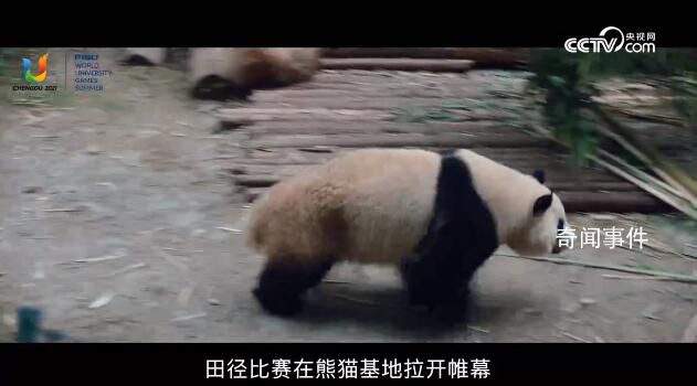 成都動起來,世界看過來
