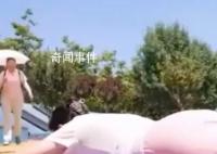 三伏天曬背最佳時(shí)間表 三伏天尤其適合曬背