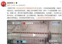 “貪吃蛇”吞下2只鸚鵡被困鳥籠