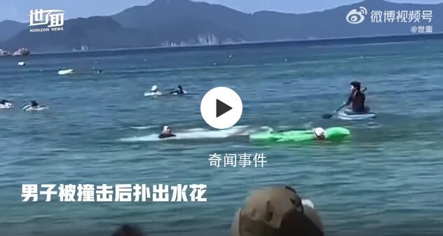 六旬老人被海豚撞成骨折并被啃傷 多名游客在日本近海岸遭海豚襲擊