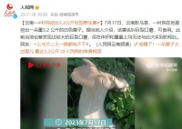 村民挖出3.2公斤巨型野生菌 該菌名叫巨型口蘑