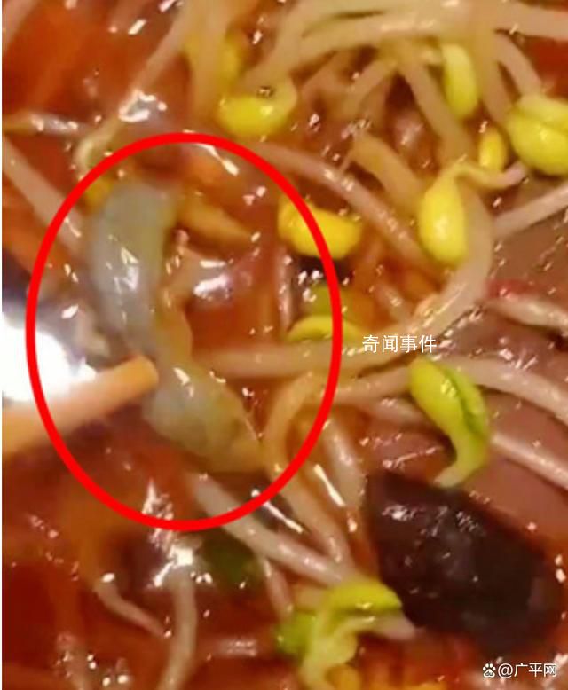 男子稱在飯店毛血旺里吃出壁虎 索賠未果后鬧大了