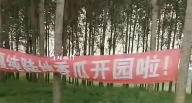 城管稱拆條幅事件已獲瓜農諒解 引發網絡關注