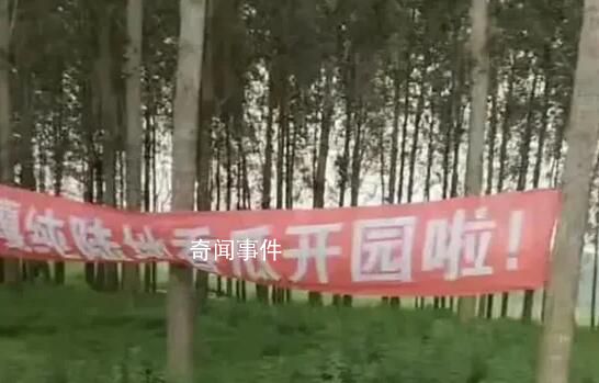疑城管拔掉瓜田橫幅:種地不能打廣告