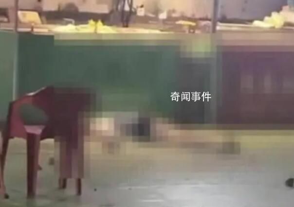 高空拋磚致女子身亡事件最新進(jìn)展 目前案件已提交至檢察院
