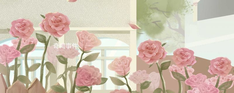 111朵玫瑰代表什么意思 111朵玫瑰的禮物意義是什么