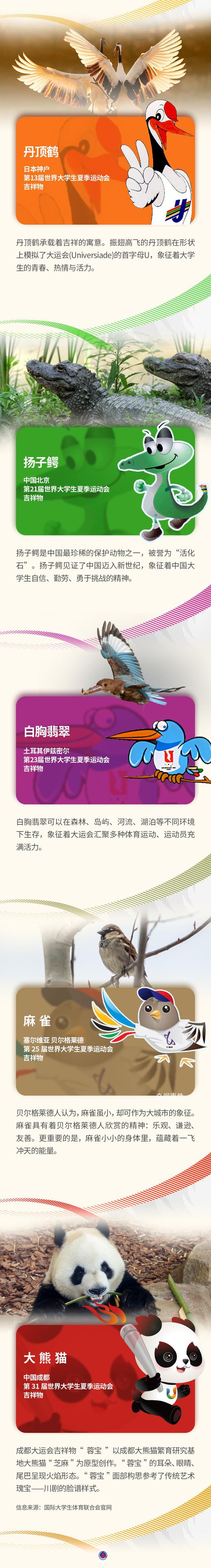 細數(shù)大運會吉祥物及原型 本屆大運會的吉祥物是大熊貓蓉寶