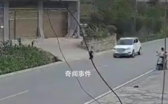 小孩兒童節被撞身亡被判與司機同責 事發路段限速20肇事車輛車速在73-81碼