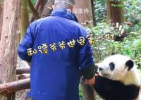 花花和譚爺爺驚喜出鏡 在宣傳片《新千里江山圖·活力四川》中驚喜出鏡