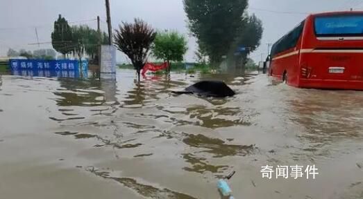 小伙給涿州災(zāi)民送物資遭哄搶指責(zé) 被在場群眾罵了一頓