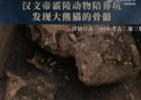 漢文帝霸陵殉葬坑發現大熊貓骨骼 用國寶大熊貓陪葬