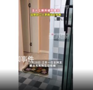狗狗幫主人拿紙3入茅廁淡定轉身 網友：主打一個欲擒故縱
