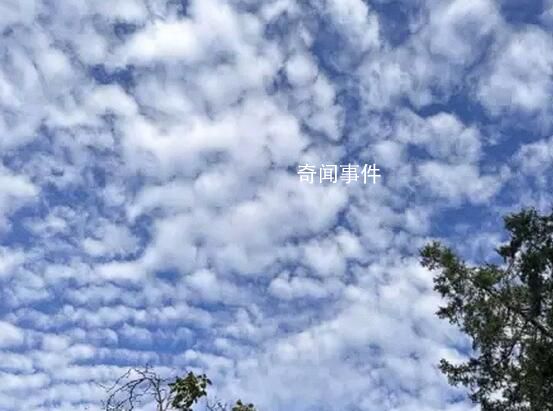 中國地震臺網:地震云是偽科學概念