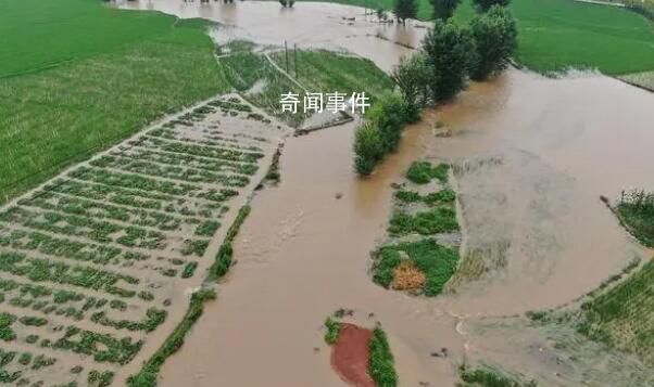 五常農民:水稻全完了 淹了三個鄉(xiāng)鎮(zhèn)