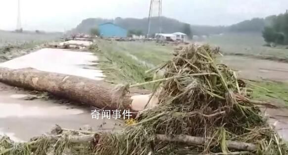 吉林舒蘭暴雨已致14人遇難 1人失聯(lián)