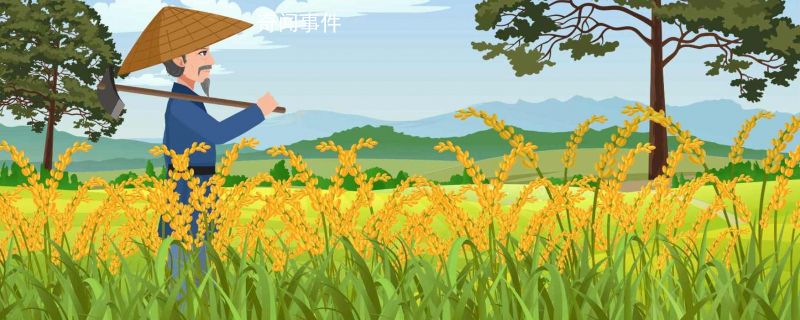 8月8日立秋算早還是晚 立秋是入秋了嗎 立秋風俗有哪些
