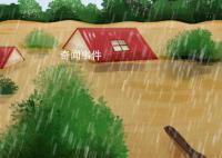 暴雨洪澇后如何做好個人健康防護 暴雨后如何做好家庭消毒
