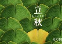 8月8日立秋算早還是晚 立秋也有早晚之分