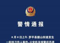 男子刺傷母親逃竄后再傷8人 致2死