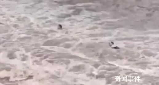 胡錫進(jìn)三問(wèn)雅安網(wǎng)紅打卡地7人遇難 游客為何在突然來(lái)水時(shí)出現(xiàn)在河道上