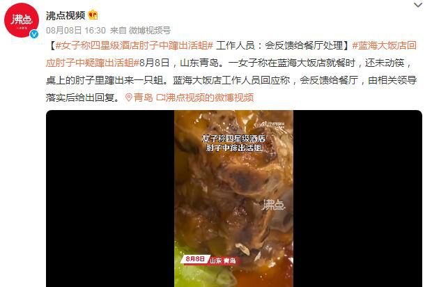 女子稱四星級酒店肘子中躥出活蛆 會反饋給餐廳處理