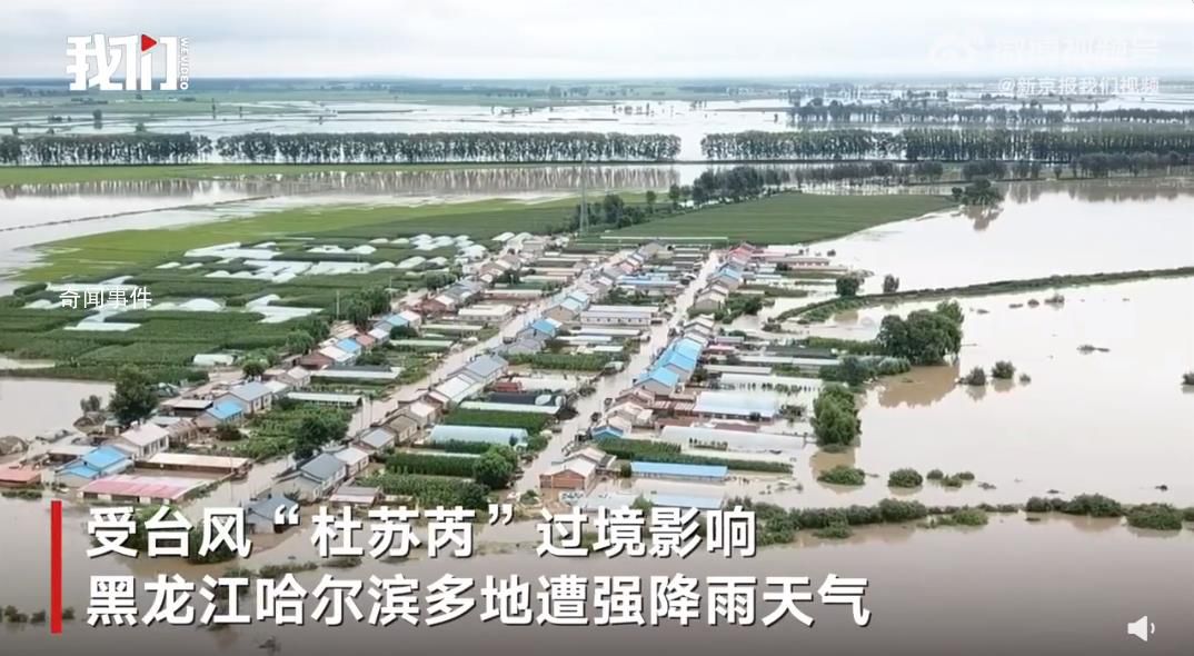 黑龍江雙城遭洪水包圍 村支書(shū)哽咽