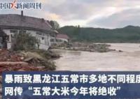 種植戶稱五常大米未達到絕收程度 擔心會被外界誤解