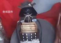 重慶寺廟供奉日本邪神?民宗委回應