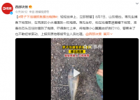 男子下池塘抓魚摸出炮彈 嚇得急忙上岸撥打110