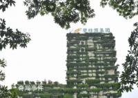 房企碧桂園提出四大自救措施 承諾將堅守責任