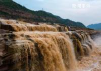 降雨致黃河壺口瀑布現(xiàn)“金瀑飛流” 引了眾多游客前來觀賞