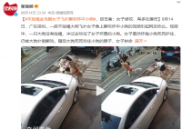 金毛未拴繩撲倒女子撕咬懷中小狗 視頻引起網(wǎng)友熱議