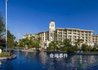 碧桂園:公司債券兌付存在不確定性