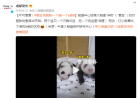 愛寶雙胞胎一個沉穩一個話癆 網友：打小就看出了i熊和e熊的區別