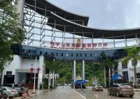 迷失緬北:暴力勒索與電詐