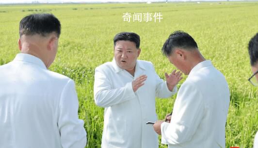 金正恩指導(dǎo)朝鮮空軍噴灑農(nóng)藥 現(xiàn)場指導(dǎo)消除臺(tái)風(fēng)災(zāi)害影響保護(hù)農(nóng)作物工作