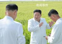 金正恩指導朝鮮空軍噴灑農藥 現(xiàn)場指導消除臺風災害影響保護農作物工作